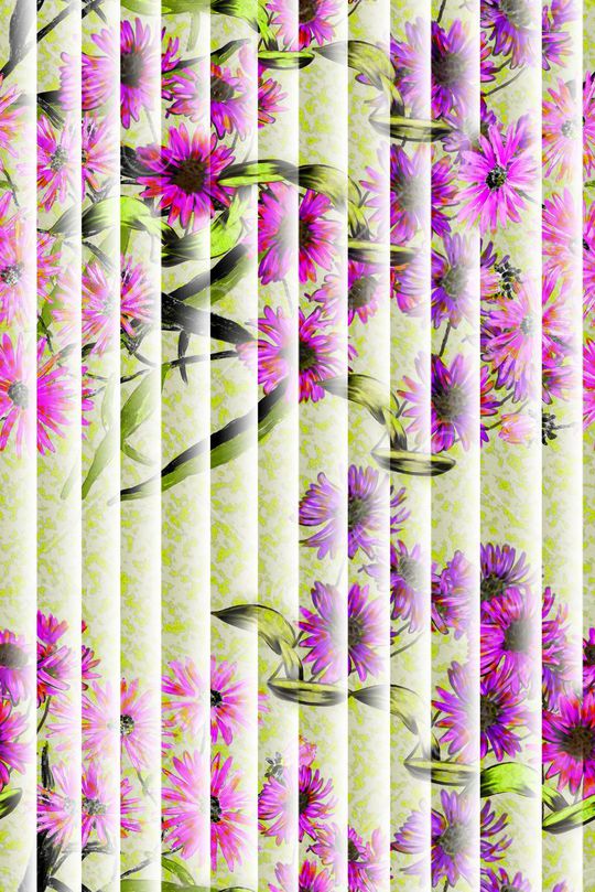 少女印花华亿平台图片