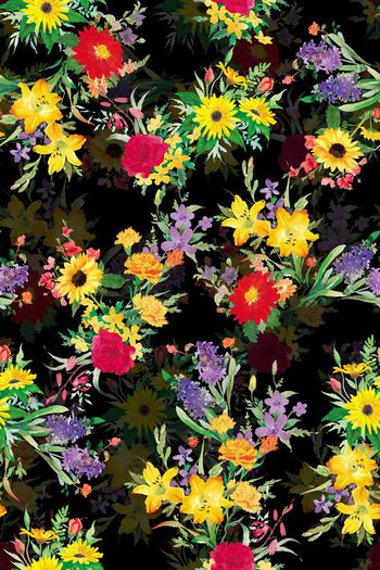 384840-手绘水彩写意花卉