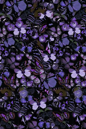 蝴蝶印花华亿平台图片