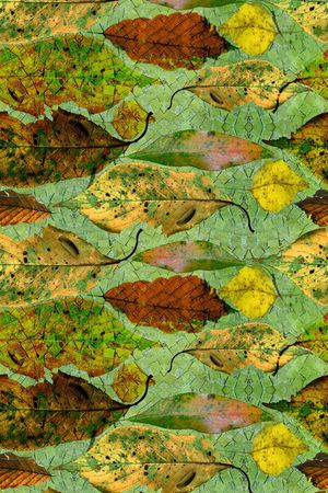 树叶印花华亿平台图片