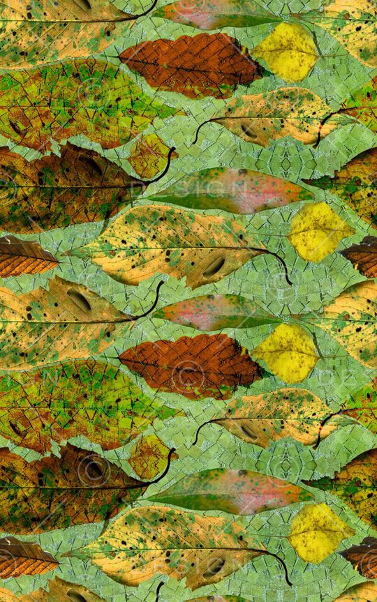 树叶印花华亿平台图片