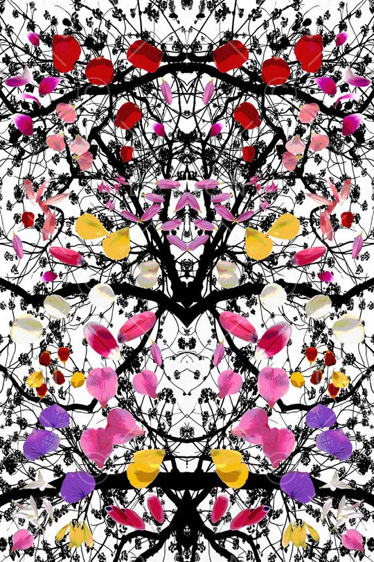 花瓣印花华亿平台图片