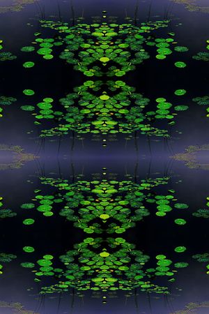 浮萍印花华亿平台图片