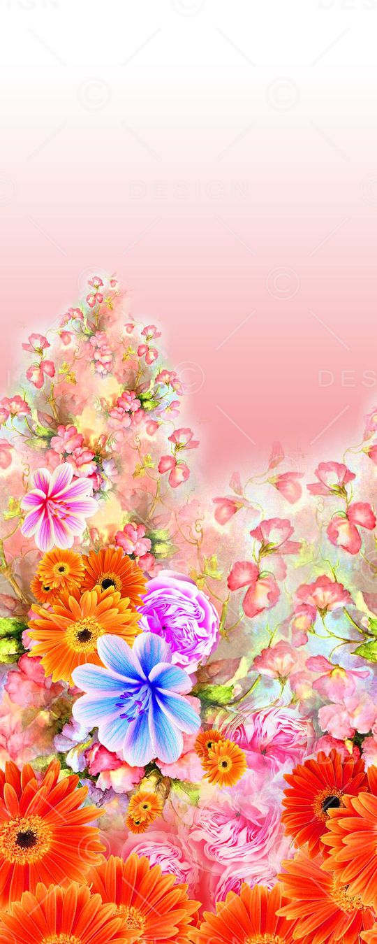 非洲菊印花华亿平台图片