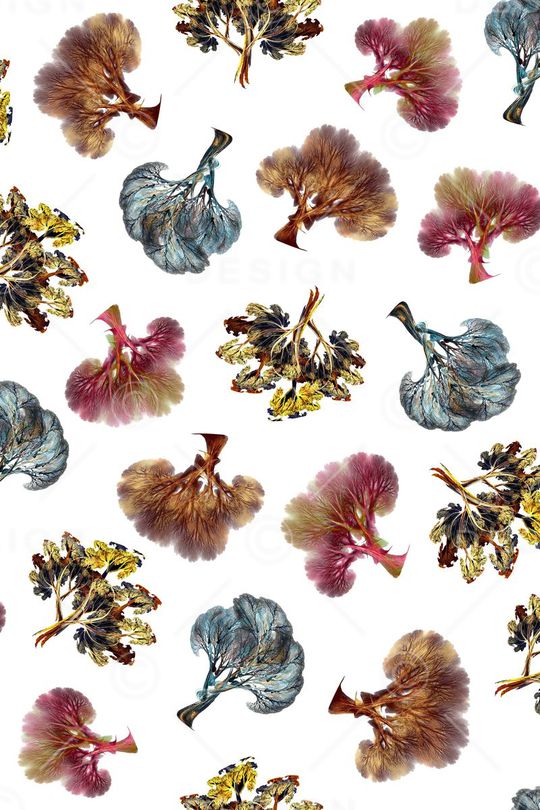 抽象树木印花华亿平台图片