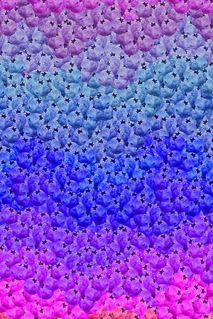 蓝莓印花华亿平台图片