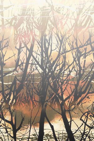 风景印花华亿平台图片