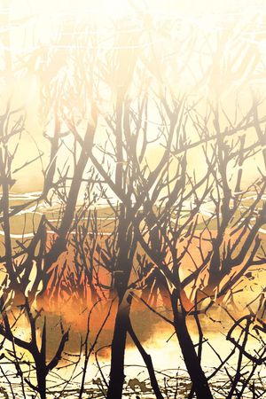 风景印花华亿平台图片