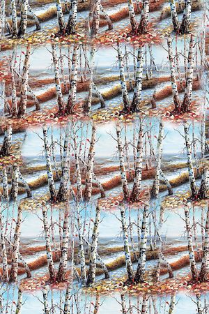 风景印花华亿平台图片