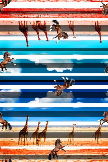 385498-自然渐变灵魂奔腾男女装