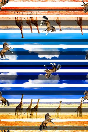 马印花华亿平台图片