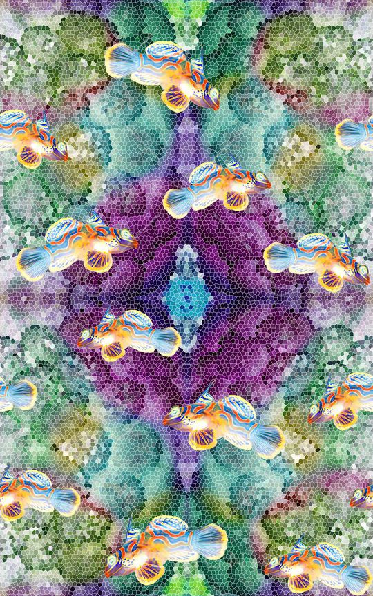 动物印花华亿平台图片