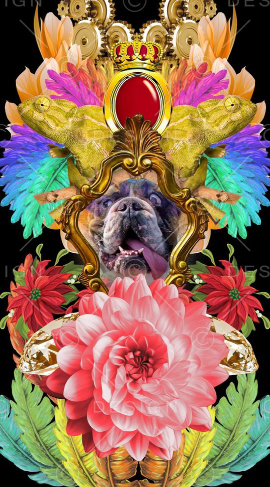 狗印花华亿平台图片