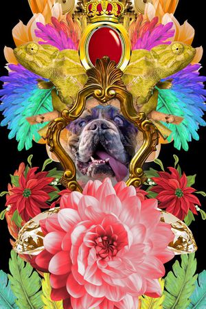 狗印花华亿平台图片