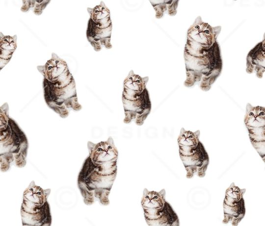 复古印花华亿平台图片