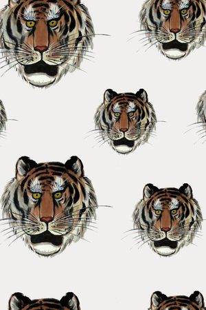 潮流印花华亿平台图片