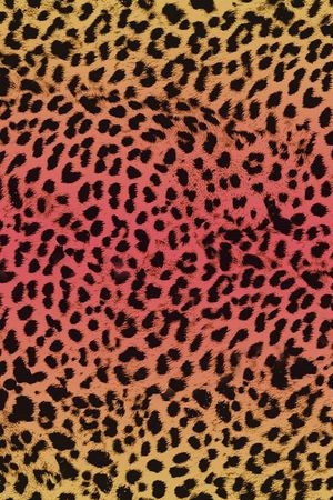 豹纹印花华亿平台图片