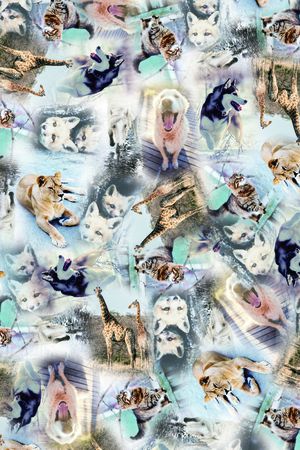 时尚印花华亿平台图片