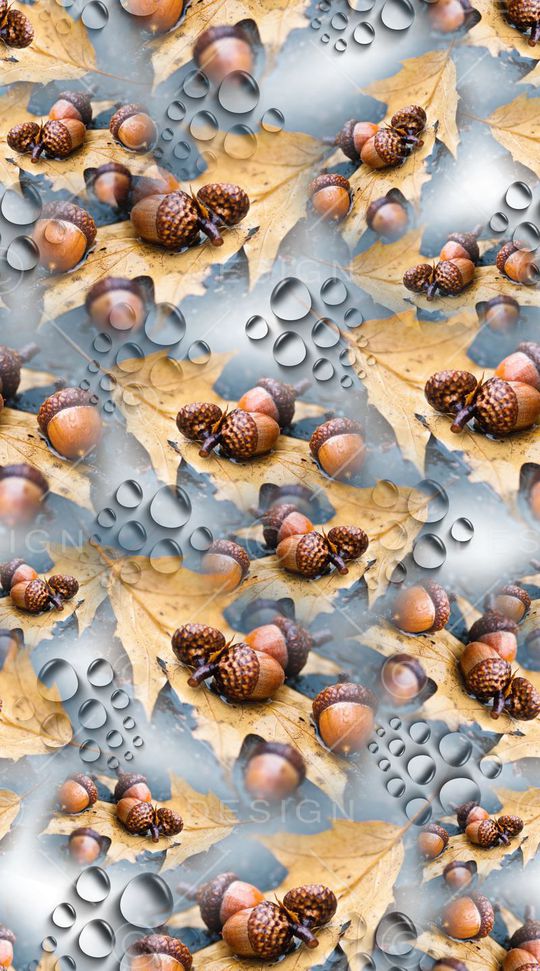 坚果印花华亿平台图片