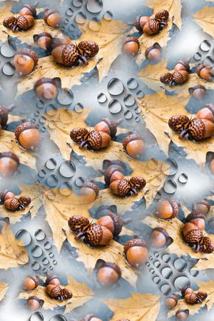 坚果印花华亿平台图片