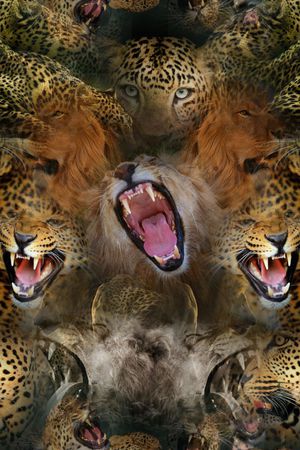 动物印花华亿平台图片