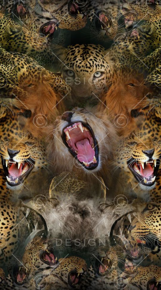 动物印花华亿平台图片