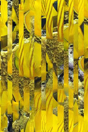 潮流印花华亿平台图片