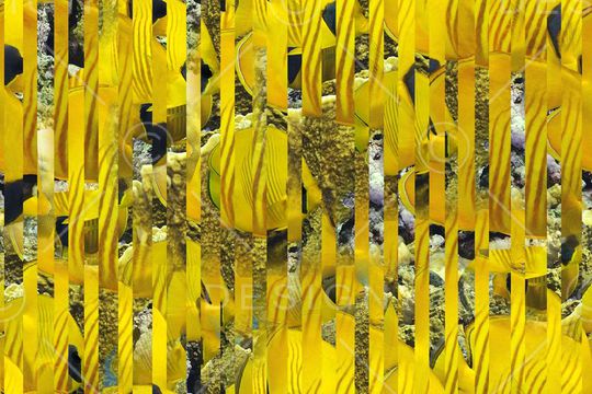 潮流印花华亿平台图片