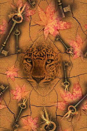 动物印花华亿平台图片