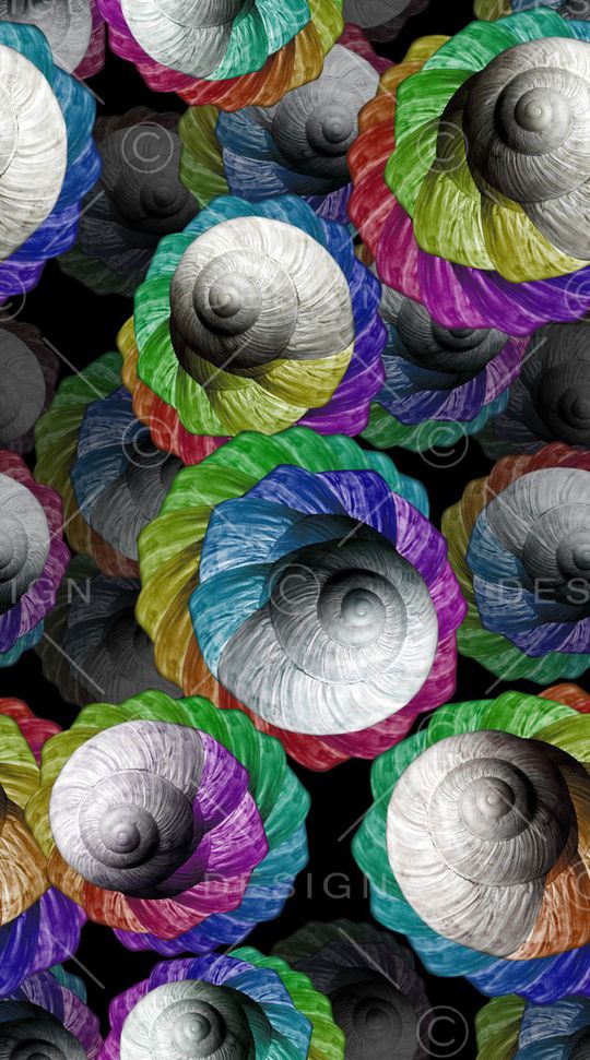 贝壳印花华亿平台图片