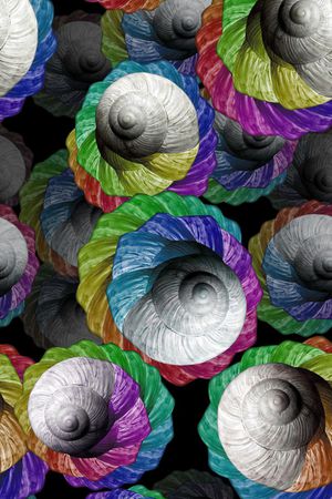 贝壳印花华亿平台图片