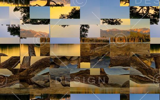 复古印花华亿平台图片