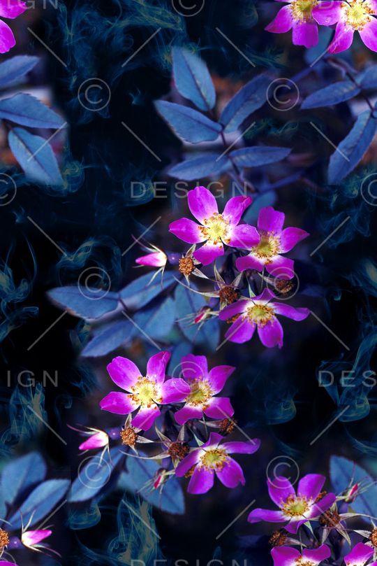 复古印花华亿平台图片