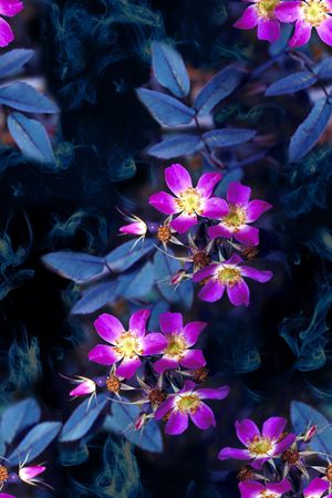 复古印花华亿平台图片