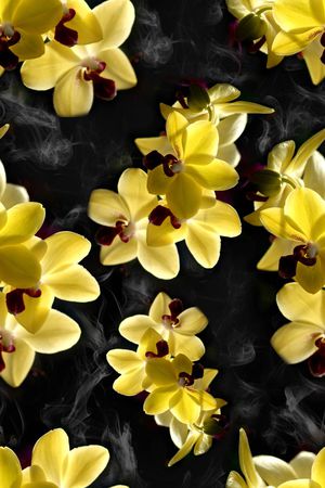 复古印花华亿平台图片