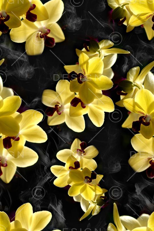 复古印花华亿平台图片