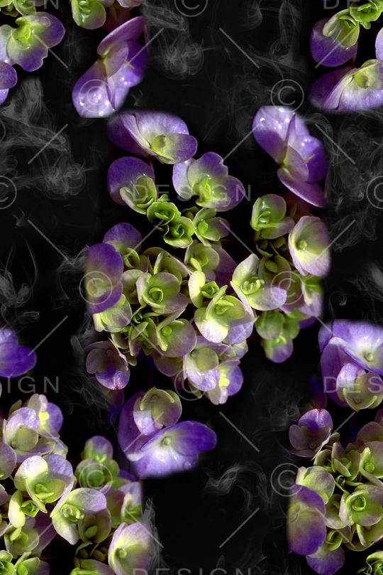 潮流印花华亿平台图片