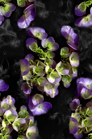 潮流印花华亿平台图片