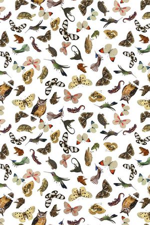 动物世界印花华亿平台图片