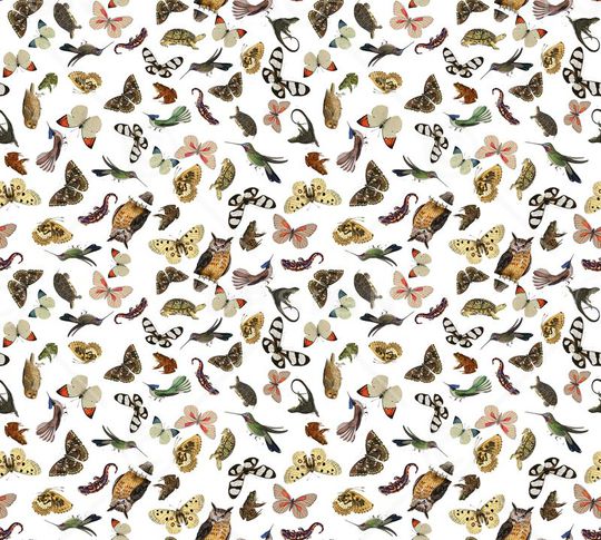 动物世界印花华亿平台图片