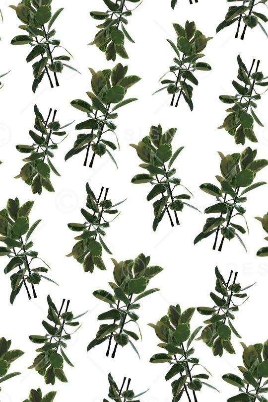 风俗印花印花华亿平台图片