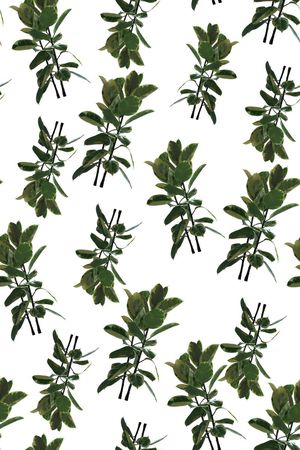 风俗印花印花华亿平台图片