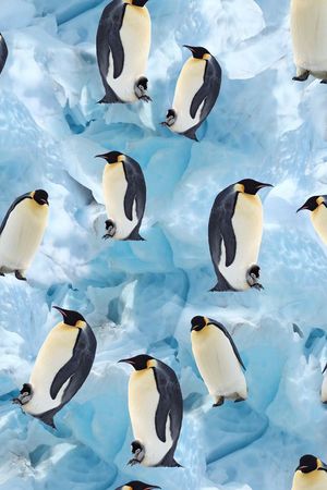 潮流印花华亿平台图片