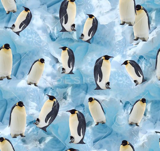 潮流印花华亿平台图片