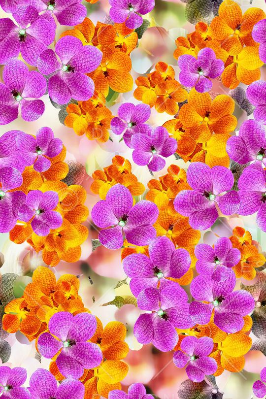 田园印花华亿平台图片