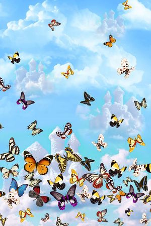 女装印花华亿平台图片