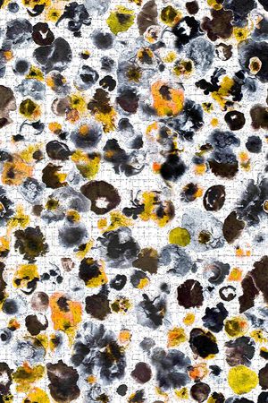 斑纹印花华亿平台图片