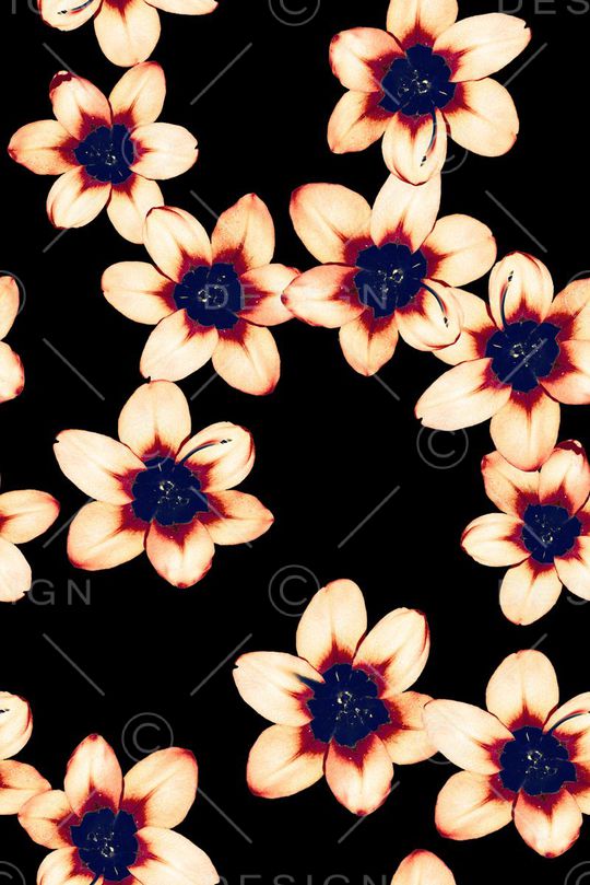 大牌花印花华亿平台图片