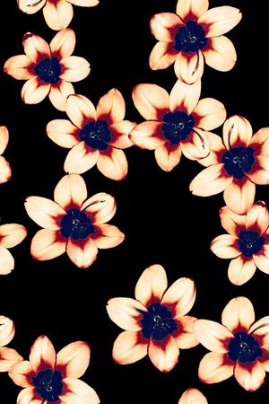 大牌花印花华亿平台图片