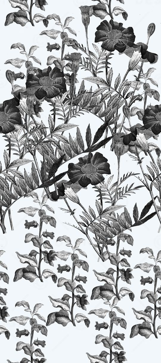 服装印花华亿平台图片